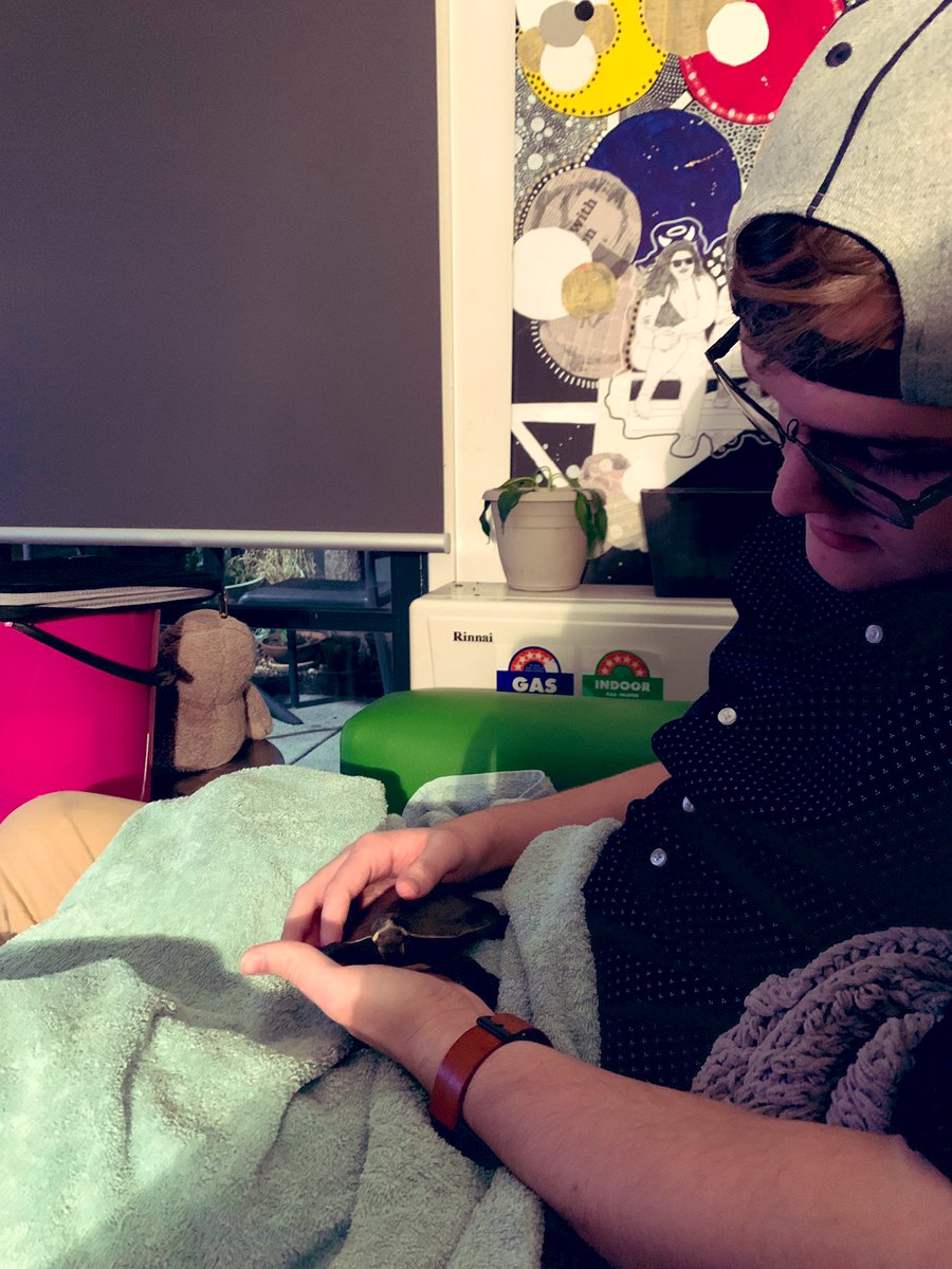 bonnietheturtle's tweet photo. Auntie @MegWilliams897 is introducing my parents and I to the @Swinburne Bachelor. Matt is cute but I definitely prefer cuddles with my Dad https://t.co/1vfx7Vr5Jt