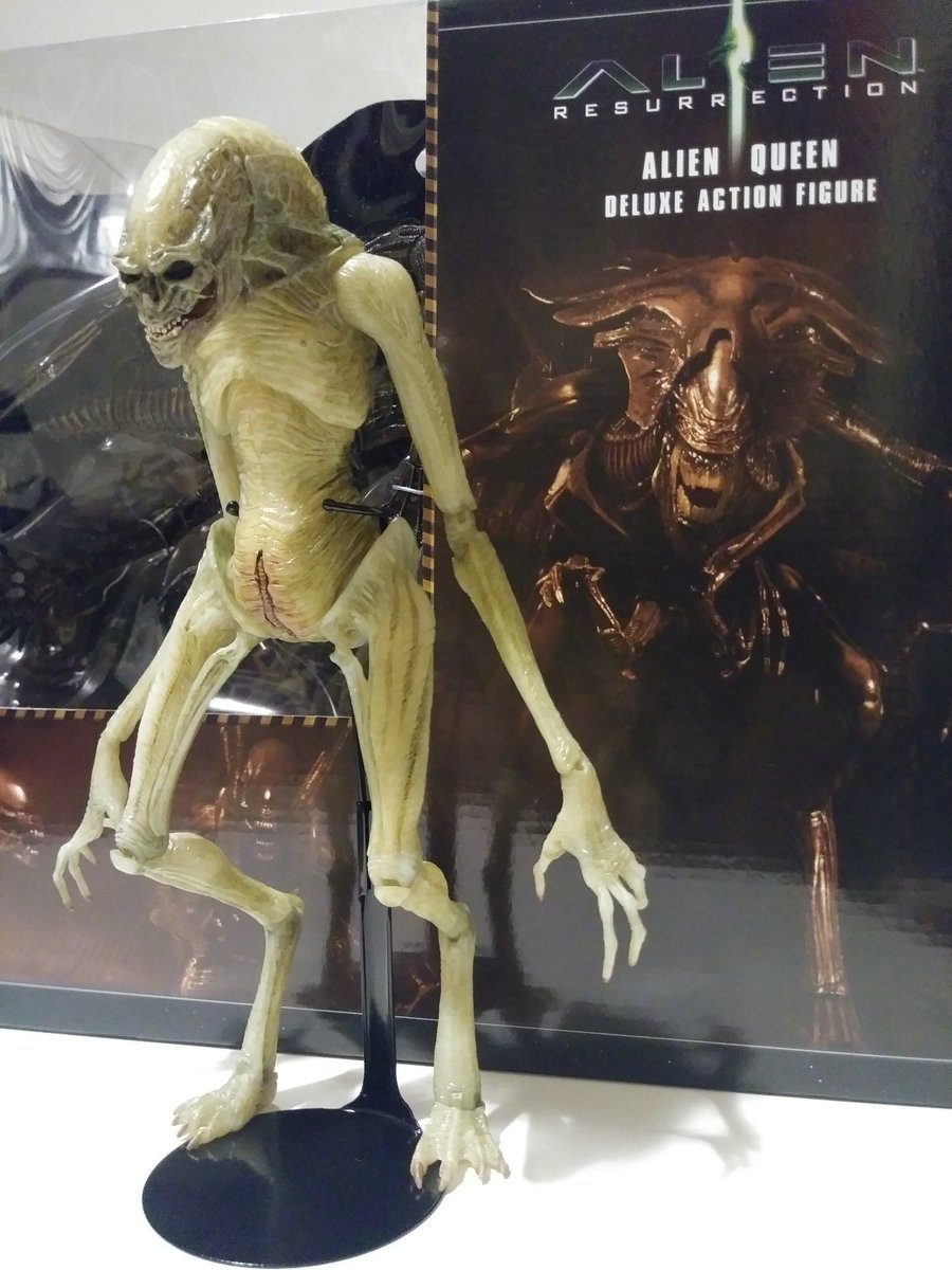 BlueBoy8000's tweet photo. This is how its legs must always look like while standing up: (proper leg posing of the Newborn) #NECA #TheNewborn #AlienResurrection #AlienSeries14 Straight legged just looks wrong. https://t.co/4XuYT8V6hI