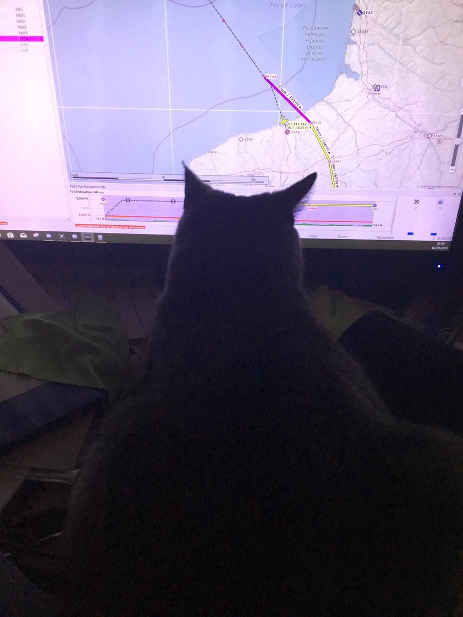 Dreamsofwings1's tweet photo. Apparently it’s #internationalcatday so here’s an old one of #copilotcat keeping a check on the nav as we diverted on a trip to France #spitfire #aviation  #flightsimulator #aviationlovers #cat #pilot #flying #copilot #avgeek https://t.co/odVQaSxe3q
