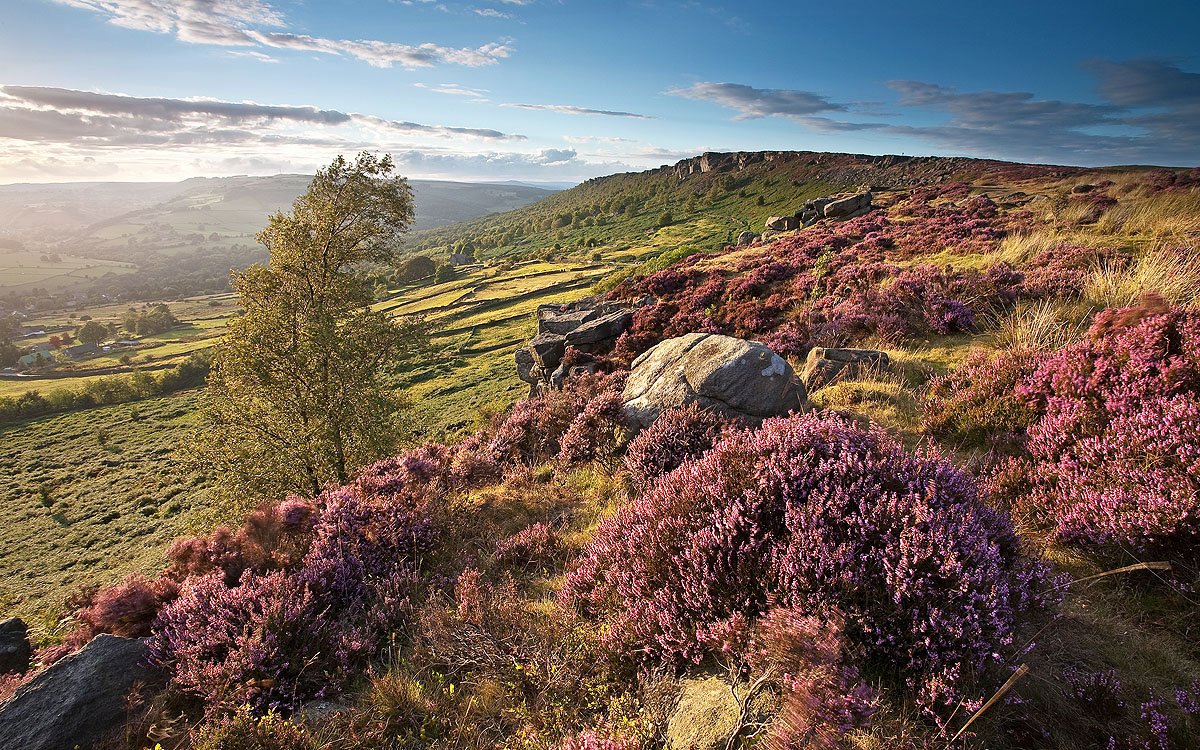 FischersBaslow's tweet photo. Wish you were here? 😍 A stroll along Baslow Edge is spectacular at this time of year.✨ Book your stay online https://t.co/YPEgUI0fvk 📸@RavenseyeChris #BaslowEdge #Heather #PeakDistrict #VisitEngland #Walking #Explore #Derbyshire https://t.co/dNMbk2hvDU