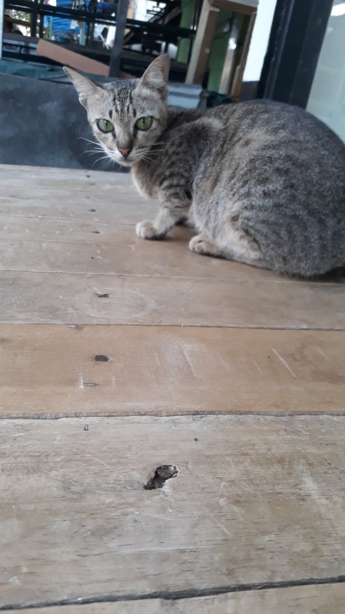 Lizz (@dheaarinilistya) on Twitter photo 