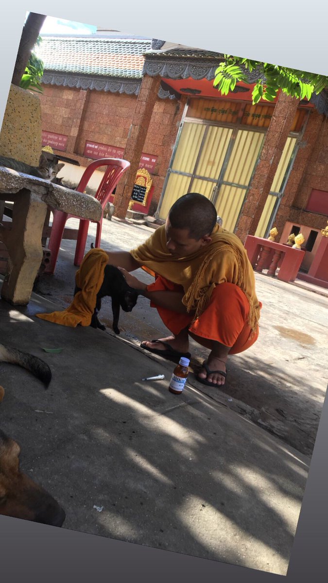 sumsouls's tweet photo. He has no sponsors and he even dips into his donations from the community as a monk to care for them. Please donate what you can ❤️ https://t.co/YJJcaxBkV6