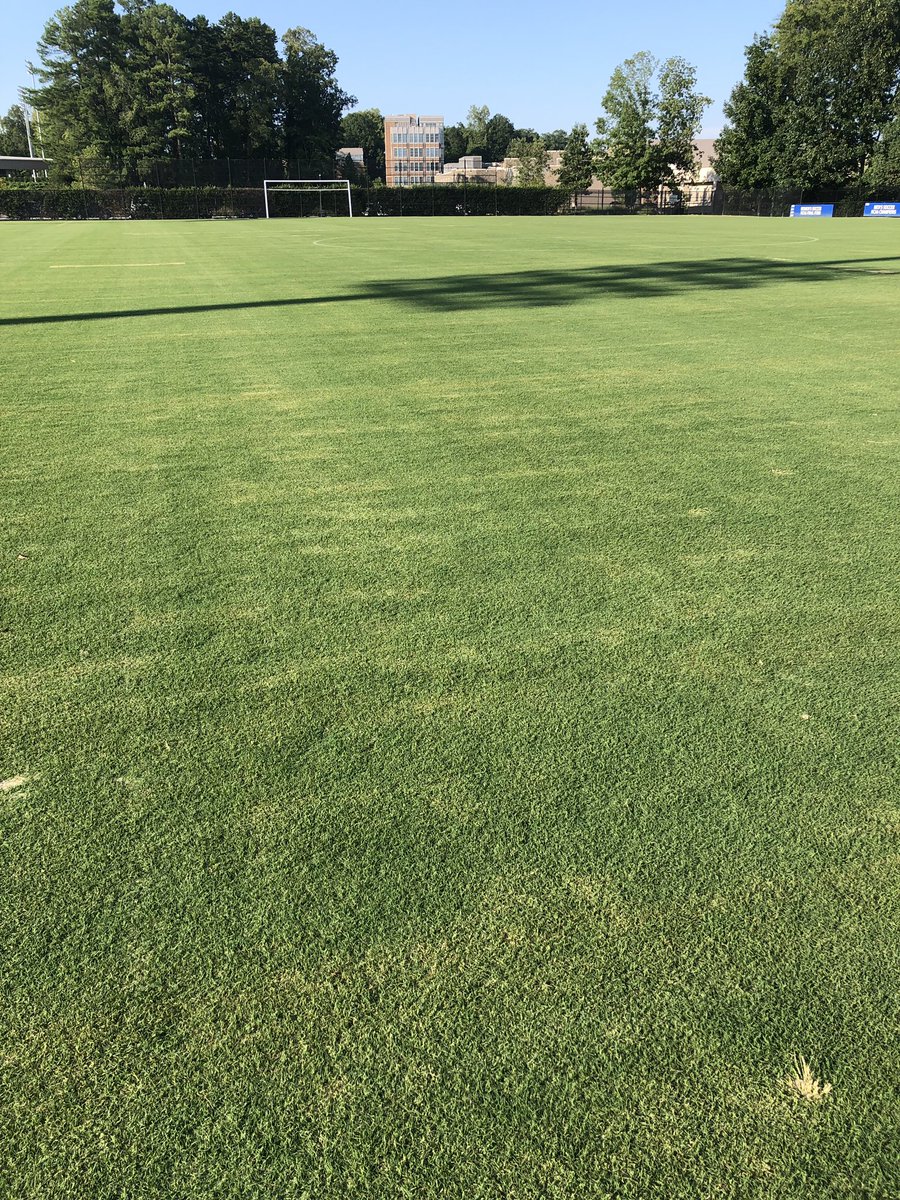CgcChad's tweet photo. 8 weeks after sprigging #tahoma31, Duke Soccer looking good. 19 year old @CarolinaGreenCo drainage system still doing its thing. Great work @DukeGroundsCrew https://t.co/QIvDQgYcpA