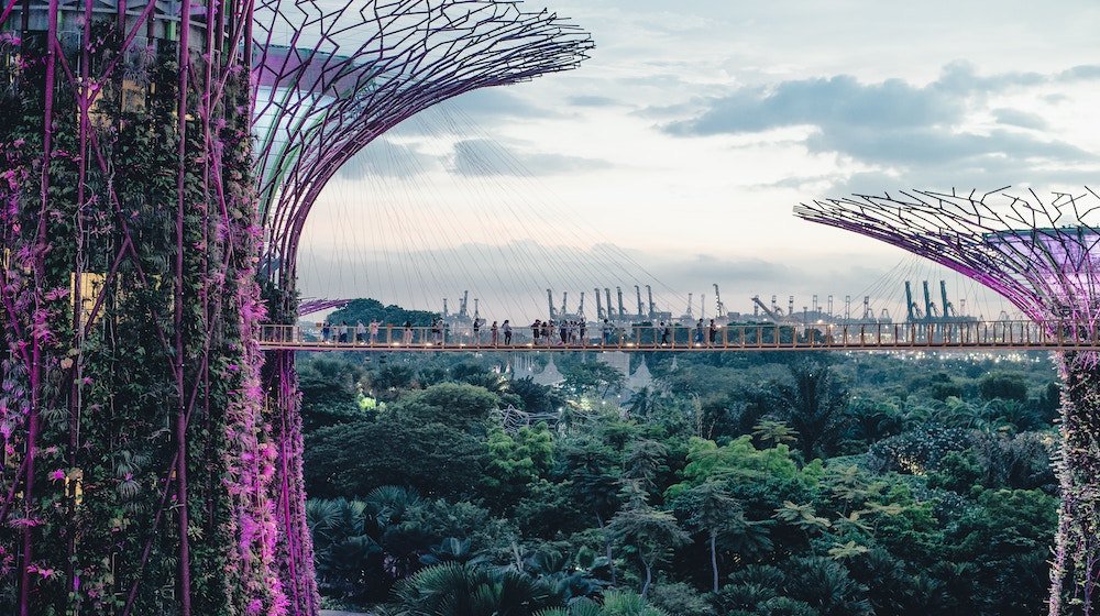 worldofleedham's tweet photo. WELCOME TO THE URBAN JUNGLE: Singapore's charming new bespoke hotel https://t.co/MGIoFEcR8j @visitsingapore #Singapore #hotelnews #urbanjungle #HotelSoloha https://t.co/DEX3Kf5Tcd