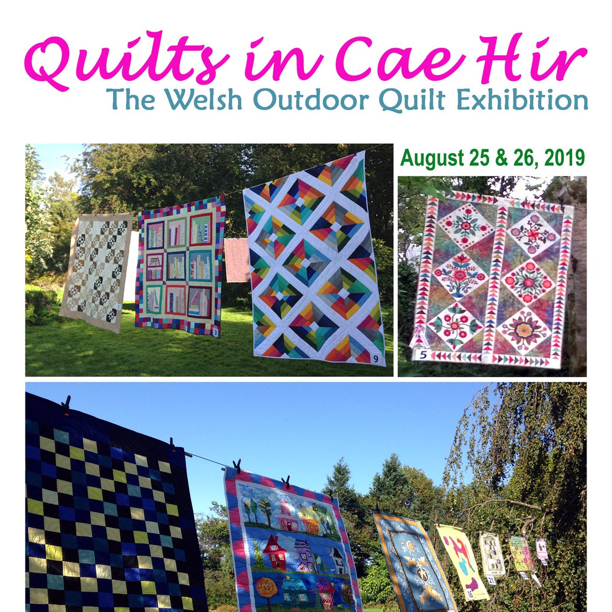 Cae Hir Gardens (@caehirgardens) on Twitter photo 