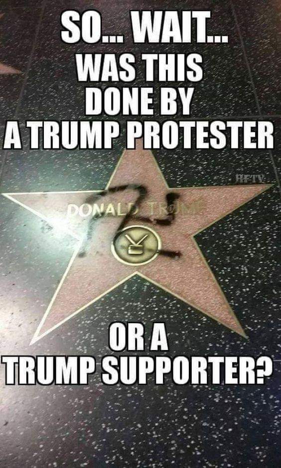 Stella.. 🇺🇸🦅 tweet media