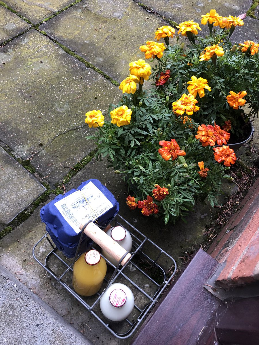 dalby26's tweet photo. Doing my bit! 🐮

#BuyBritish #TeamDairy #LocalProduce #Milk #Farm24 @FarmersGuardian https://t.co/rHkLaOCOrY