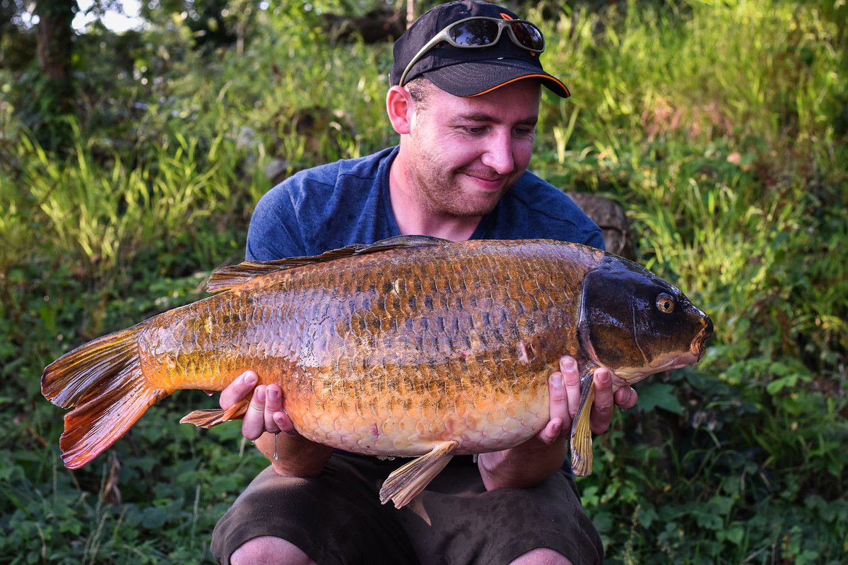 BristolAnglingCentre tweet media