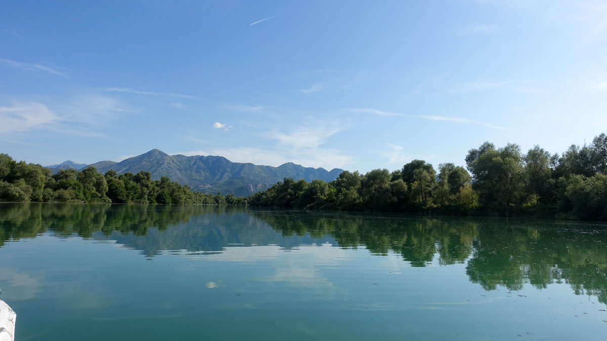 TempResidents's tweet image. Our boat drivers Luca (age 14) and his sister (age 11) giving us a tour of Lake Skadar. They only steered when they had to. 😂😂 #skadarlake #montenegro