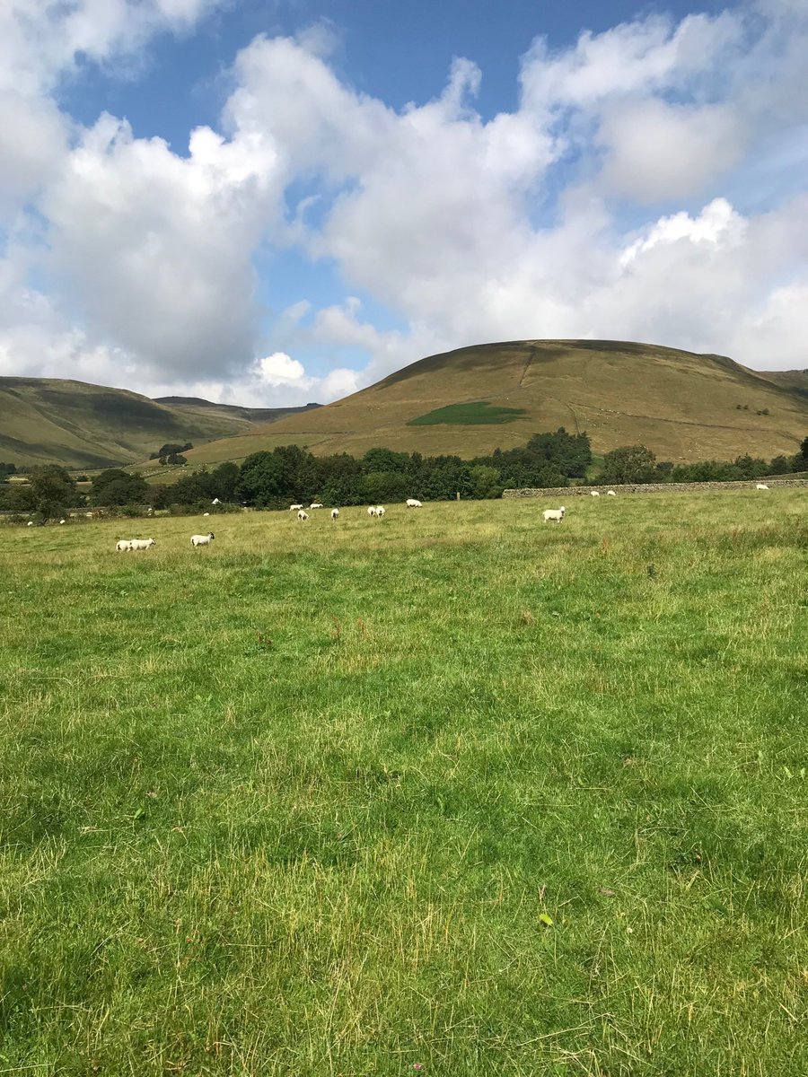 ubfarm2000's tweet photo. #stockchecking #farmcover #farmer working with @PDNPAPlanning #communityinvolvement #daughter #offfarmwork @bakewellmarket #allgo @FarmersGuardian #farm24 https://t.co/AskSMN5dAv