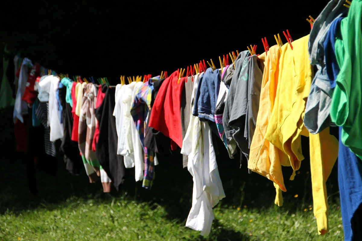 OceanCleanWash's tweet photo. About 84% of all animals washed up on British shores were found to contain #plastic microfibers from clothes. And every time we wash our clothes, microfibers go down the drain. What can you do? Stop washing your clothes so much! Here are some tips  👉 https://t.co/Pu1tMv1Zgx https://t.co/IQ8Fjb7Q2v
