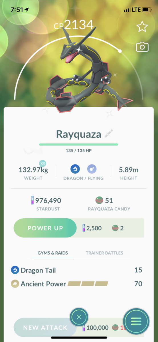 HexManiacKarina's tweet photo. Forgot to post my babies from Raid Hour yesterday!!! #ShinyRayquaza #legendarydinnerhour #pokemonGO https://t.co/blndacYoPS