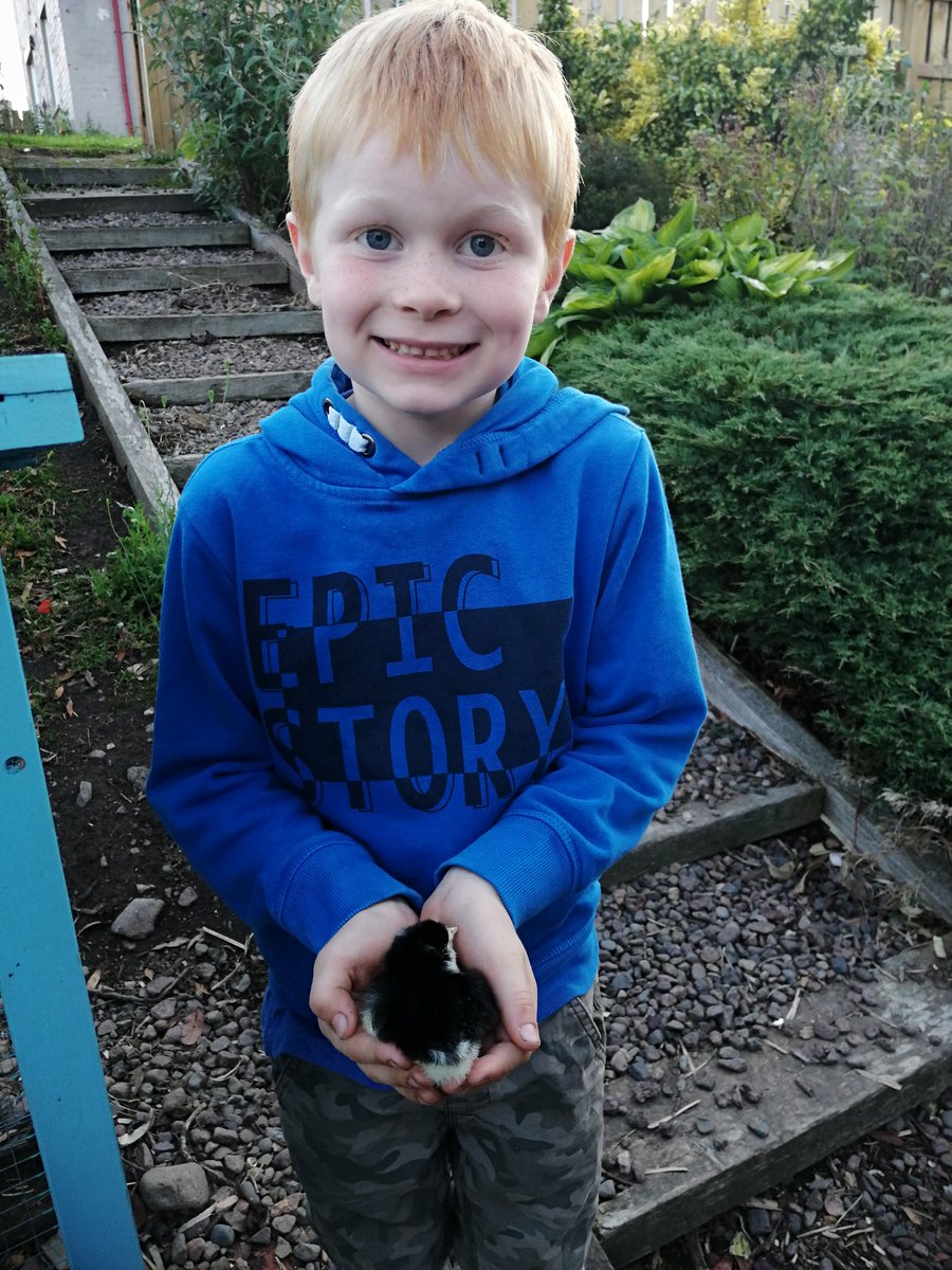 JillyRobson1's tweet image. #farmboy #Farm24 #chicks @FarmersGuardian @tony6290