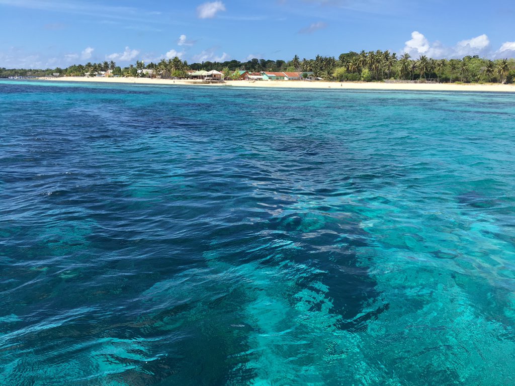 babroz's tweet photo. PlongΓ©e Γ Bira #Sulawesi #Divecamp Parfait https://t.co/RZRmWE3WGU