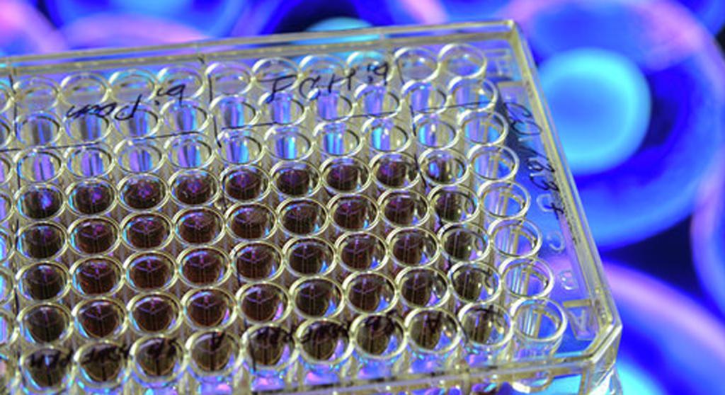 [NEW POST] Scientists disentangle how human gut bacterial strains metabolize drugs.  ow.ly/pUVY50vrtil