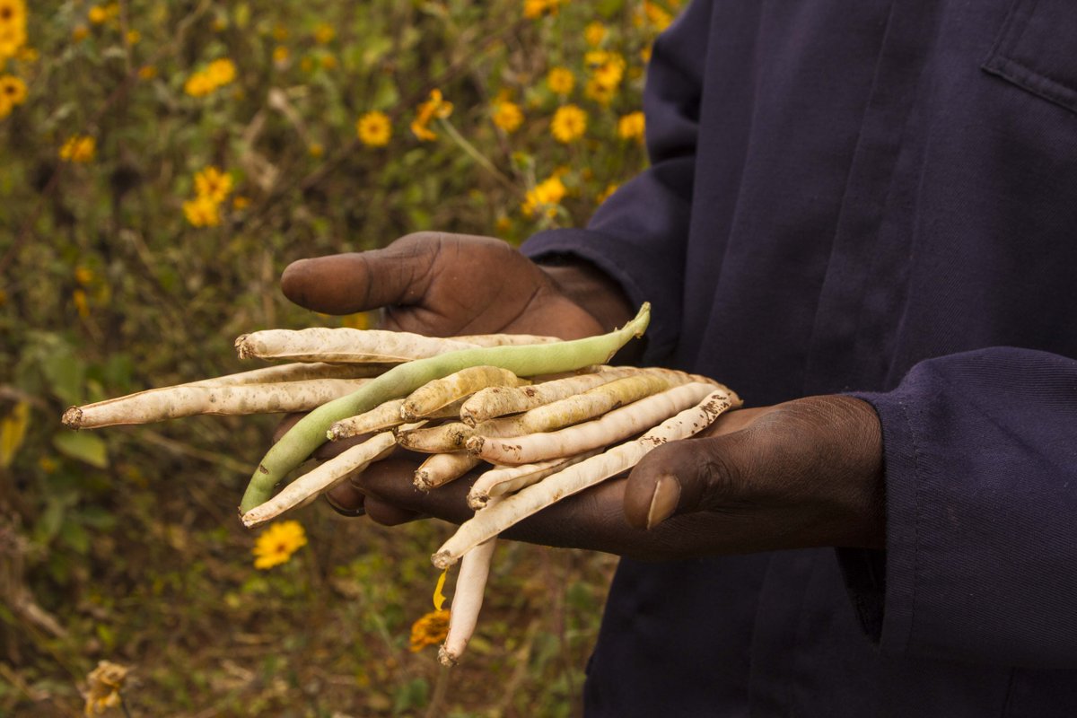 FoEint's tweet photo. On #IndigenousPeoplesDay we celebrate indigenous peoples and all they do to protect #Nature and #FoodSovereignty in the face of multiple threats. We need urgent recognition of #IndigenousPeoples’ and local communities’ collective rights, including to their lands and livelihoods. https://t.co/hPn3ai5mfW
