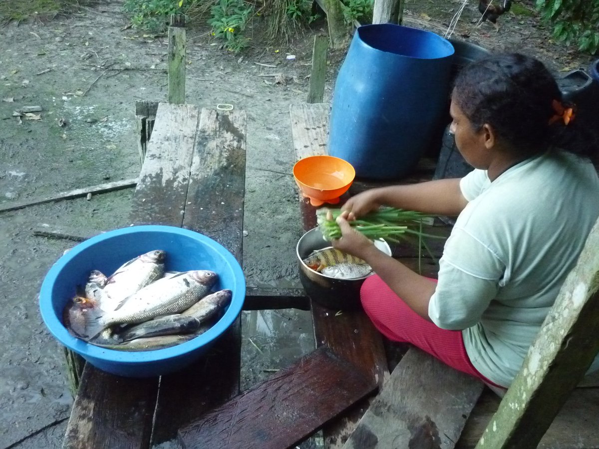 FoEint's tweet photo. On #IndigenousPeoplesDay we celebrate indigenous peoples and all they do to protect #Nature and #FoodSovereignty in the face of multiple threats. We need urgent recognition of #IndigenousPeoples’ and local communities’ collective rights, including to their lands and livelihoods. https://t.co/hPn3ai5mfW