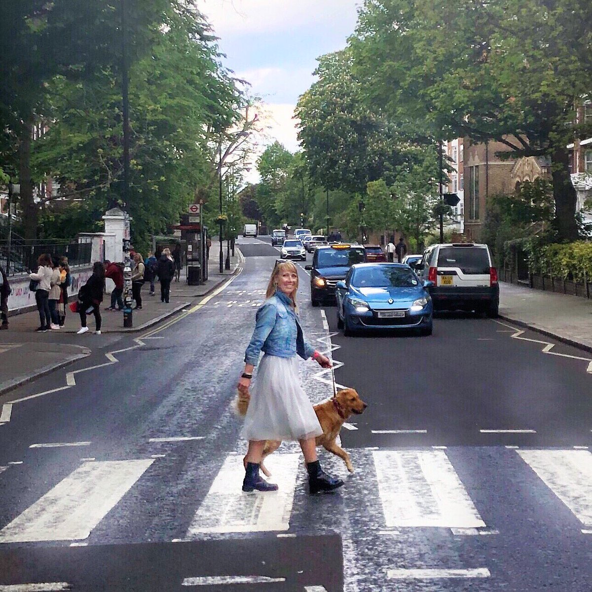 I can’t believe it’s 50 years today that #TheBeatles famous album cover ‘Abbey Road’ was taken! So to celebrate here’s my version ( with my golden retriever) taken a few weeks ago! 😁🎉 
#abbeyroad #abbeyroadstudios #AbbeyRoad #albumcover #50yearsago #Beatles