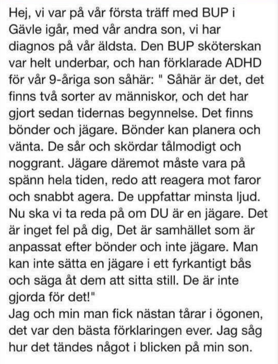kanske de bästa jag läst