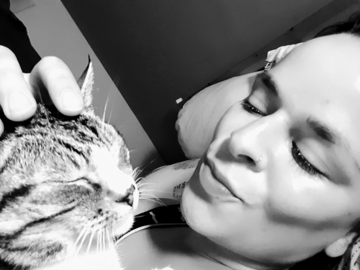 JenHochmuth's tweet photo. "What greater gift than the love of a cat." - Charles Dickens
Unfortunately not all cats are treated with the love and respect that they deserve. 
#internationalcatday #AnimalRights #replaceanimaltesting #adoptdontshop #stopanimalcruelty #stopanimalabuse https://t.co/l2SCP4KUvk