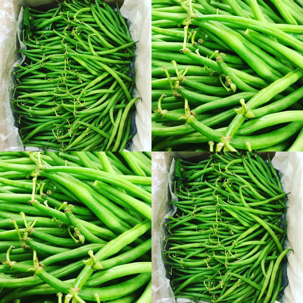 English Fine Green Beans from CherryTreeFarm - so fresh still covered in dew - sooooo fine! 😍#special #weekendspecial @saladsandherbs <a href="/TinaBarratt/">Cherry Tree Farm</a> #kent #farmproduce #eatseasonal #freshproduce #fresherbymiles #eattheseasons #cherrytreefarm