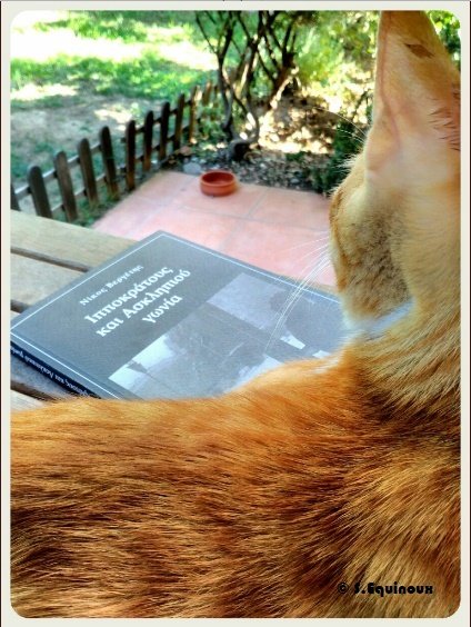 selides2015's tweet photo. [ Εμείς διαβάζουμε με την καλύτερη παρέα. Εσείς; ]

#WorldCatDay #diavazoselides #reading #marmelade_cat #Ginger_cat #diavazo #vivlio #διαβάζω #βιβλίο #Summer #cats #tabby_cat #S_Equinoux https://t.co/EUQvIUChdO