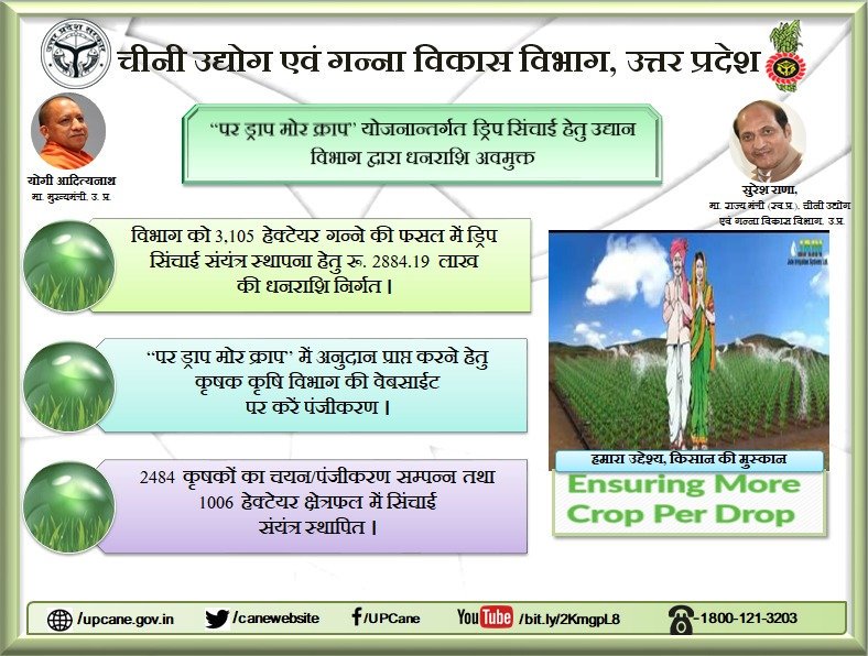 upcane.gov.in
Toll free - 1800 121 3203
#canedepartment
<a href="/UPGovt/">Government of UP</a> <a href="/CMOfficeUP/">CM Office, GoUP</a> <a href="/SureshRanaBJP/">Suresh Rana</a> <a href="/s_bhoosreddy/">Sanjay Bhoosreddy</a>