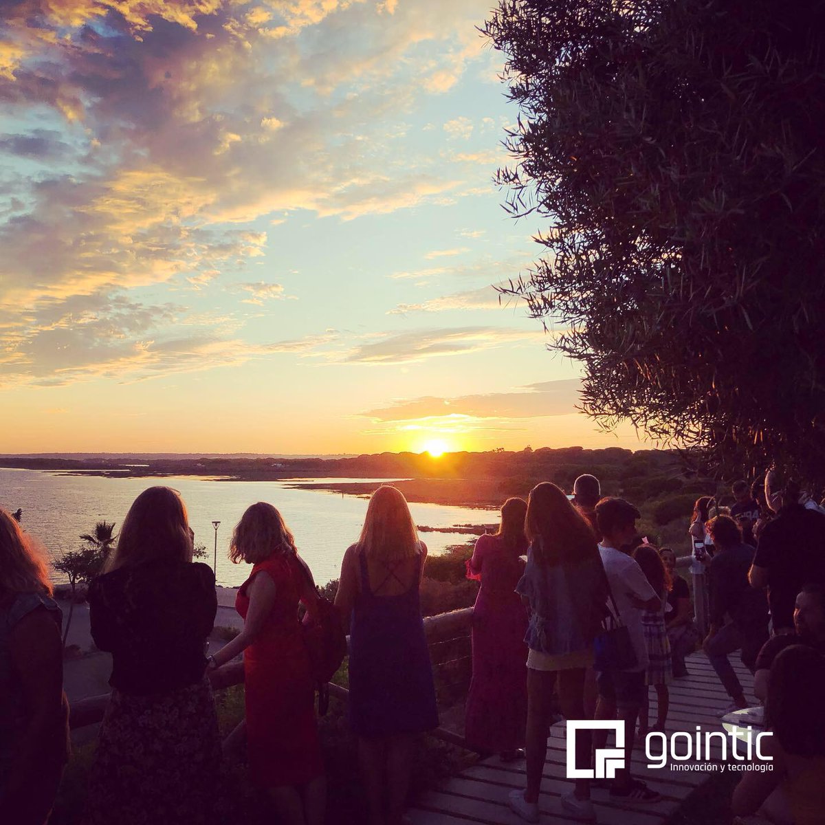 🍀Gointic tweet media