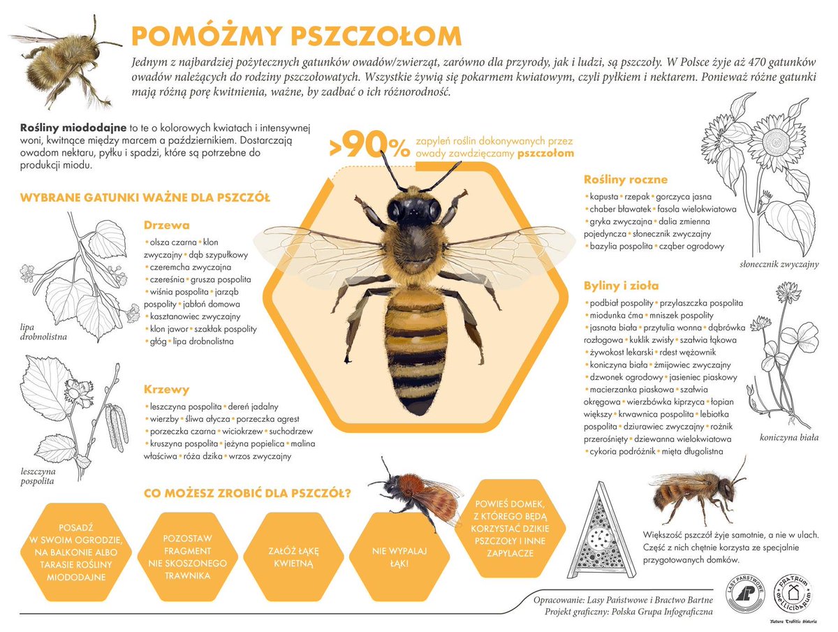 CymerJanusz's tweet photo. Dziś Wielki Dzień Pszczół :) jako fan pszczelarstwa i zwolennik jego rozwoju w Małopolsce, kilka ciekawych danych z grafik GUS i Lasów Państwowych źródło: GUS, Lasy państwowe #pszczoły #pszczelarstwo #małopolska #nowysącz #nowytarg #kraków #wielkidzieńpszczół #gus https://t.co/kC3PU5urOL