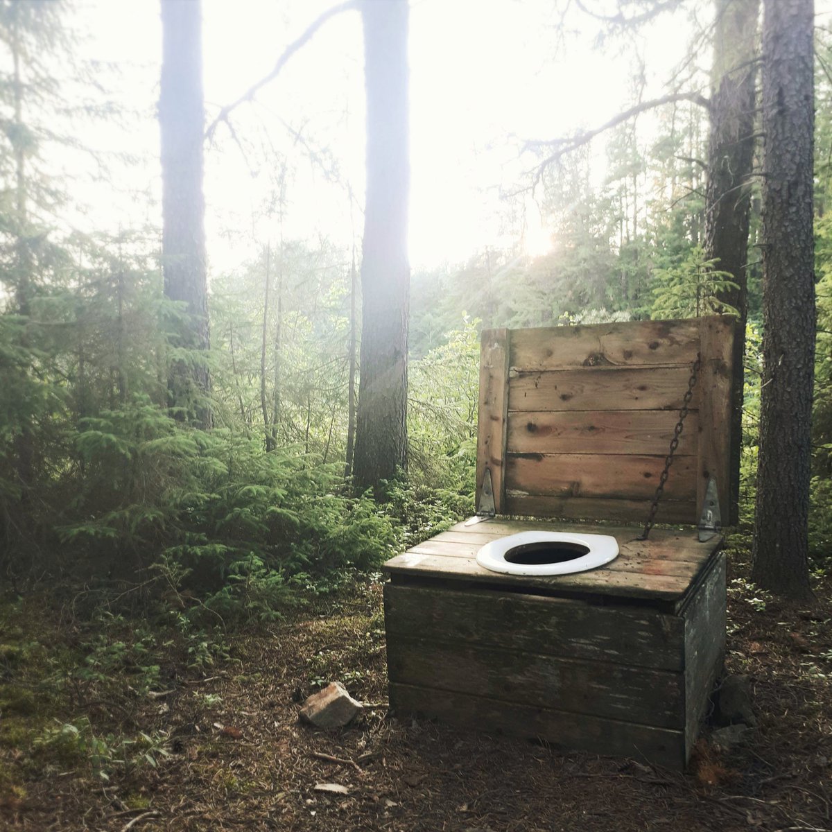 TrueNorthTrail's tweet photo. Fanciest thunder box I ever did see.
In fact, the underwhelming terms thunder box or boom box simply do not suffice.
Instead, I shall name you Forest Throne.
Yes, that'll do.
#ThursdayThought #HappyThursday #getoutside https://t.co/qyT9x2dbjg