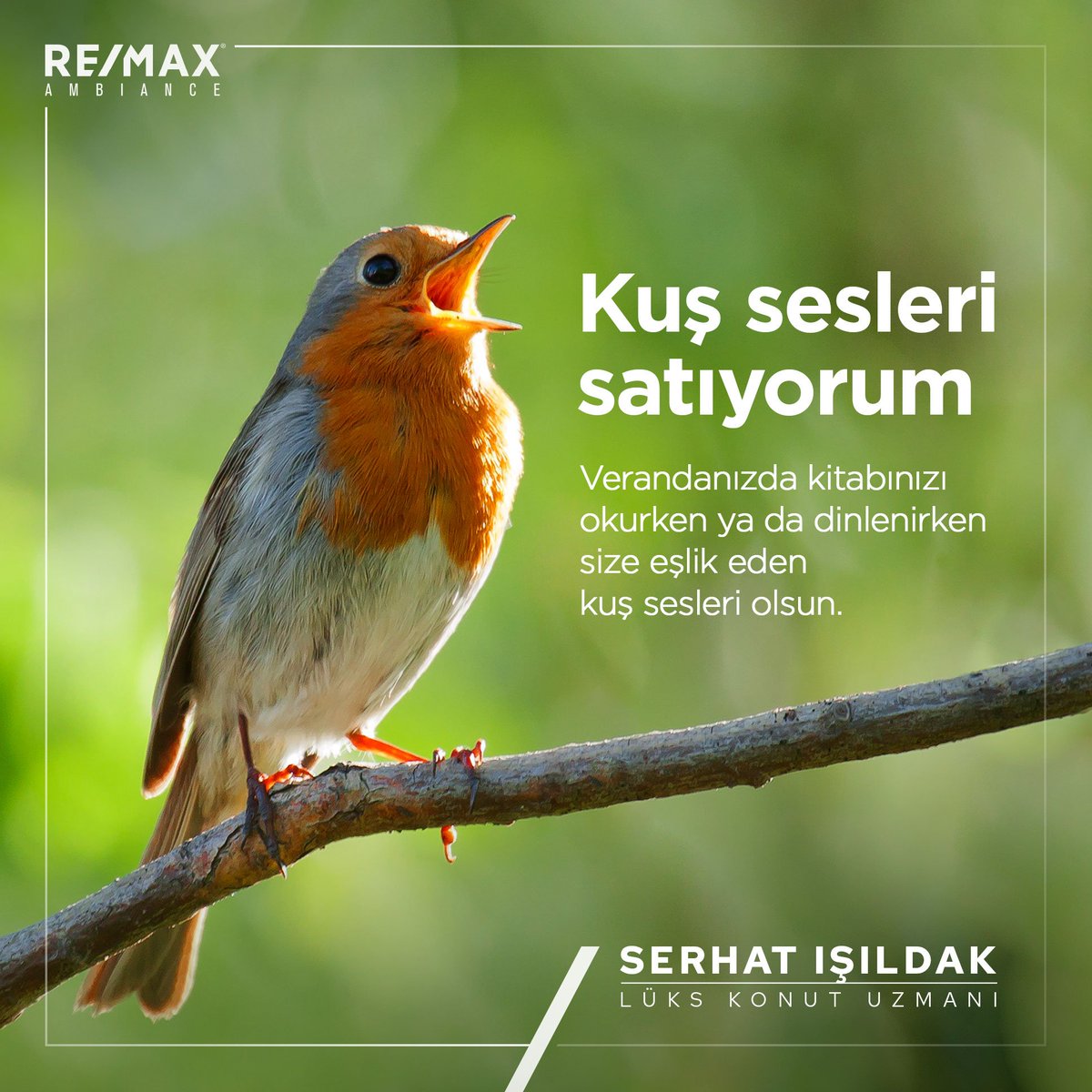 serhatisildak's tweet photo. Huzur en büyük ve en değerli servetimizdir.Bahçesinde kuş seslerini dinleyerek huzurla zaman geçirebileceğiniz harika bir evde yaşamak ister misiniz?Bursa'da lüks konut seçeneklerini ve fırsatlarını daha detaylı konuşabiliriz,ne dersiniz?
#remaxambiance
#lükskonut
#serhatışıldak https://t.co/ijlfDIT9yQ