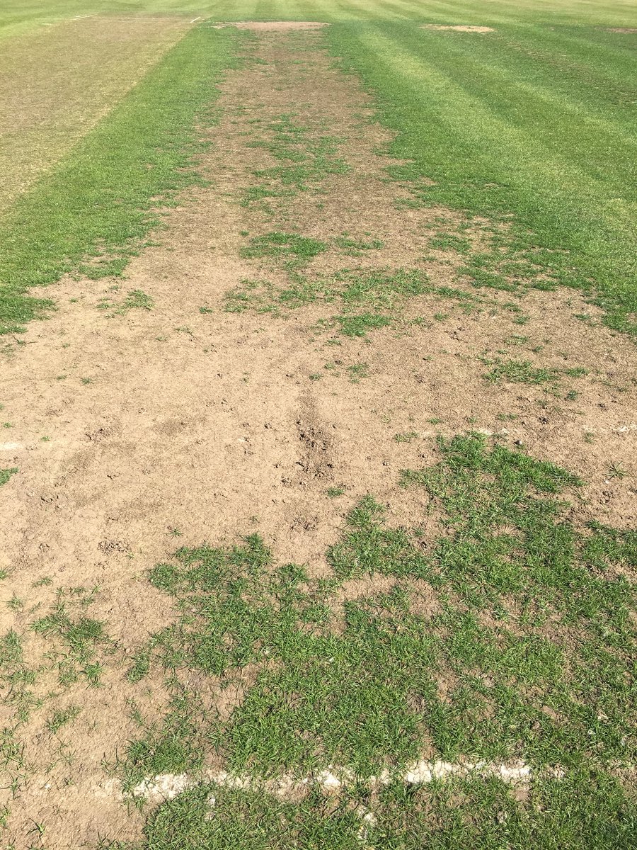 jasonevans104's tweet photo. Wicket for @gilesfoster5 @Great_PrestonCC on Sunday coming along nicely. First team wicket for Saturday might do a bit though https://t.co/UGuq8fhCI6