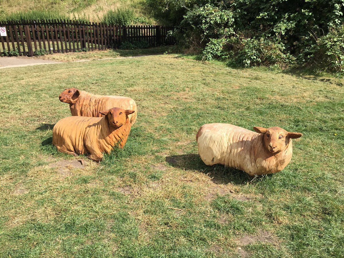 Lovely day for a walk round @clare_country park; now with two sets of wooden sheep, one set guarding the castle. Quite appropriate for a Suffolk wooltown <a href="/WoolTownsSfk/">The Wool Towns - South Suffolk</a> <a href="/ClareWalks/">Clare Walks</a>.