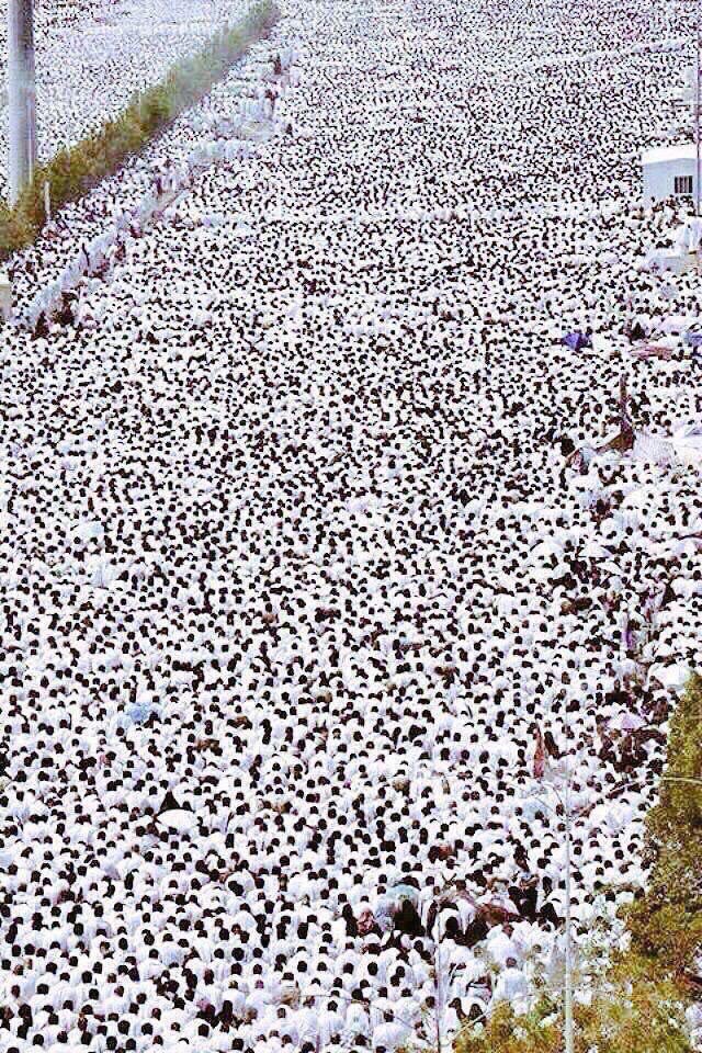 smaf291's tweet photo. @mansooraldalee أنا لستُ في الحُجّاجِ ياربّ الورى ،،
لكنّ قلبِي بالمحبّةِ كبّرا

لبّيكَ ما نبَضَ الفؤادُ و ما دعا ،،
داعٍ و ما دمْعٌ بعينٍ قد جرى ...

لبّيكَ أعلِنُها بكُلٍّ تذَلُّلٍ ،،
لبيكَ ما امتلأتْ بها أمُّ القُرى ...

لبّيكَ يا ذا الجودِ ما قلبٌ هفَا ،،
للعفوِ منكَ و بالخضوعِ تدثَّرا... https://t.co/q6RxDpouaw