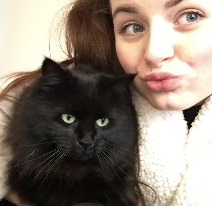 Ambitiouspr's tweet photo. In celebration of #InternationalCatDay, we bring you some of the AMBITIOUS cats! Meet Theo, Bella, Daisy, Freddie and Shadow!

Where do you stand on cats and dogs in the office?

#agencylife https://t.co/2kA3D7qVMH