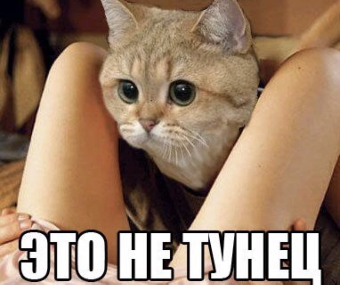 Самого до петербурга ссать не