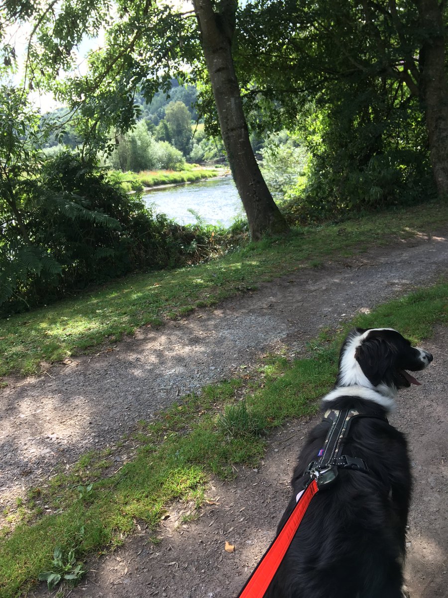 TinaEvansCurly's tweet photo. Trigger is my faithful motivator! #only5weeksleft for 10k for @CureParkinsonsT
https://t.co/ThHZQiMjBq
@worcesterrun https://t.co/I3PMZbzM8v