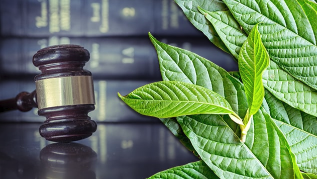 Kratom in the UK tweet media