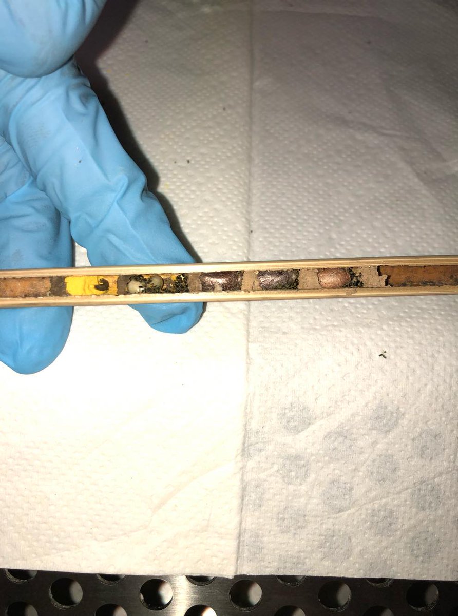 COMI_HMGU's tweet photo. First @COMI_HMGU sampling for the #MicroBees project! Our project looks for the impact of increasing land use intensity on the #microbiome of solitary #bees π, which are extremly important and underestimated polinators @Exploratories @CCTB_Wuerzburg https://t.co/EA5yHg9E0H https://t.co/dPg122YhLR