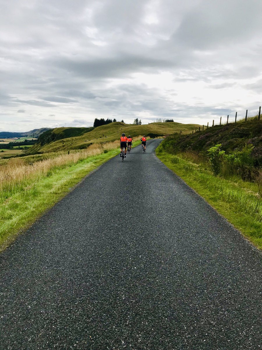 Krista Doebel-Hickok tweet media