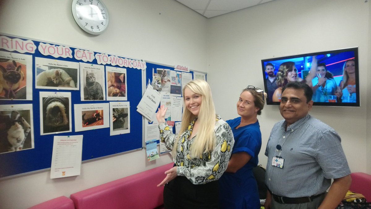 CazLooby's tweet photo. #bringyourcattoworkday on NICU @OldhamCO_NHS https://t.co/HCqxk6QCAI