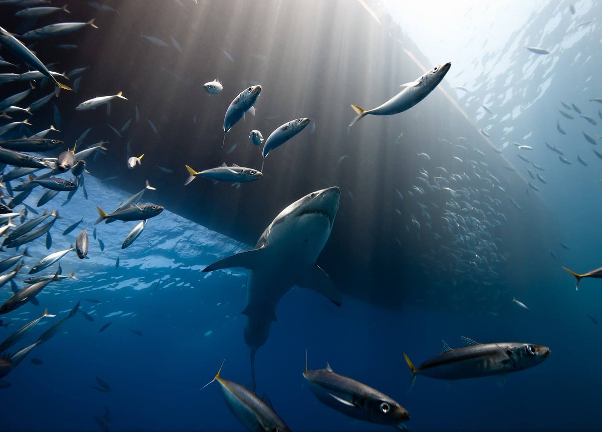 Research Turizm (@researchturizm) on Twitter photo 