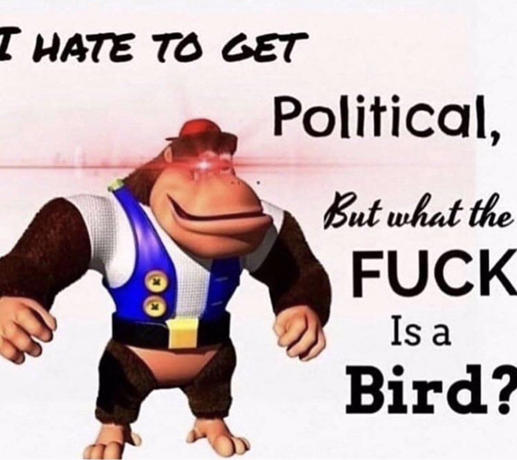 Hauchimoto tweet media