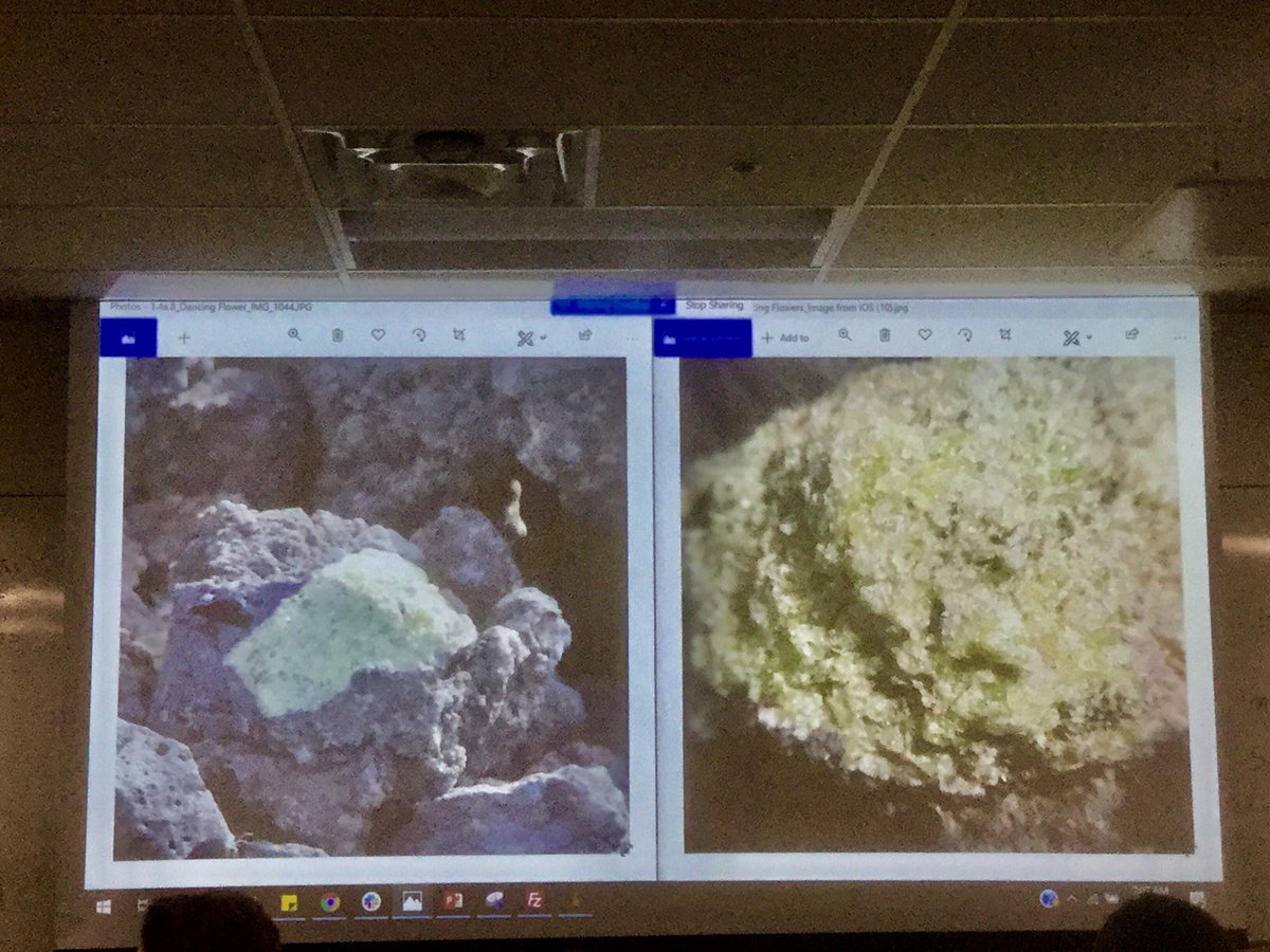 Zach4TheFuture's tweet photo. More morning Moon minerals!! 🌕 #canmoon #CdnSpace #westernu @Hoserlab1 @westernuCPSX https://t.co/tKvrO71G0d
