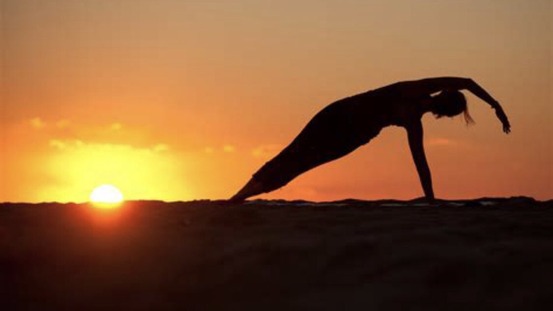 David Sinclair tweet media