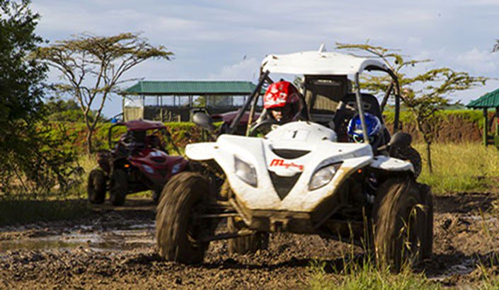 HelinaSafaris's tweet photo. TEAM BUILDING PACKAGE... https://t.co/ejHxp3pDV7