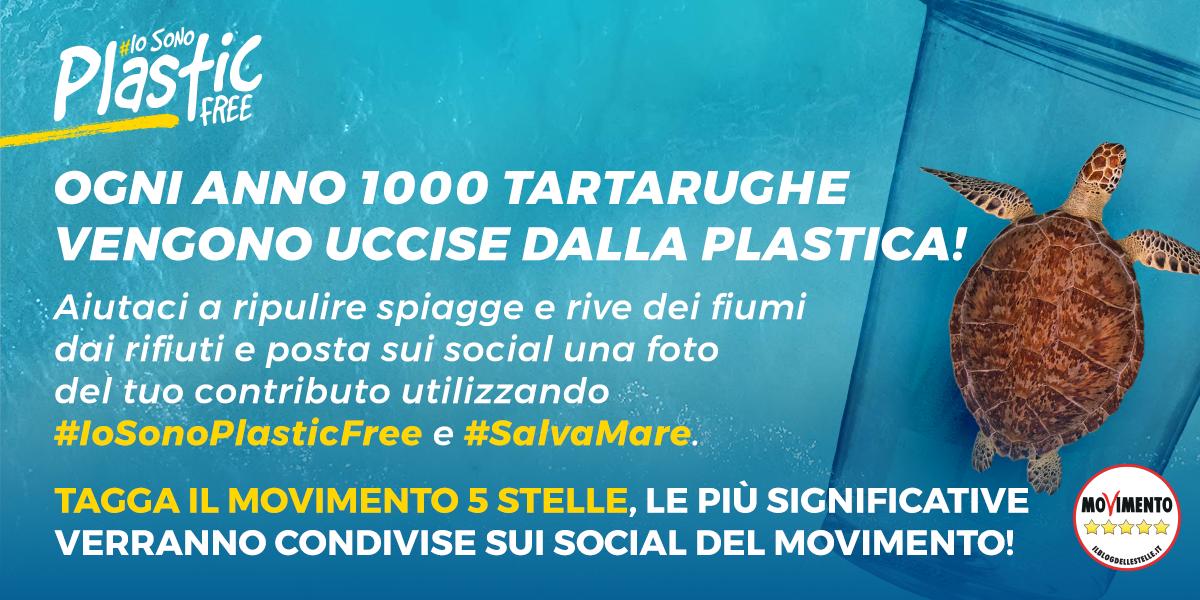 Mov5Stelle's tweet photo. Azioni concrete per un mondo senza plastica.
Aiutaci a ripulire le spiagge dalla plastica monouso e posta una foto sui social utilizzando l'#IoSonoPlasticFree e #SalvaMare. Le immagini più significative verranno condivise dall'account del @Mov5Stelle. https://t.co/XLIXNx6e9r