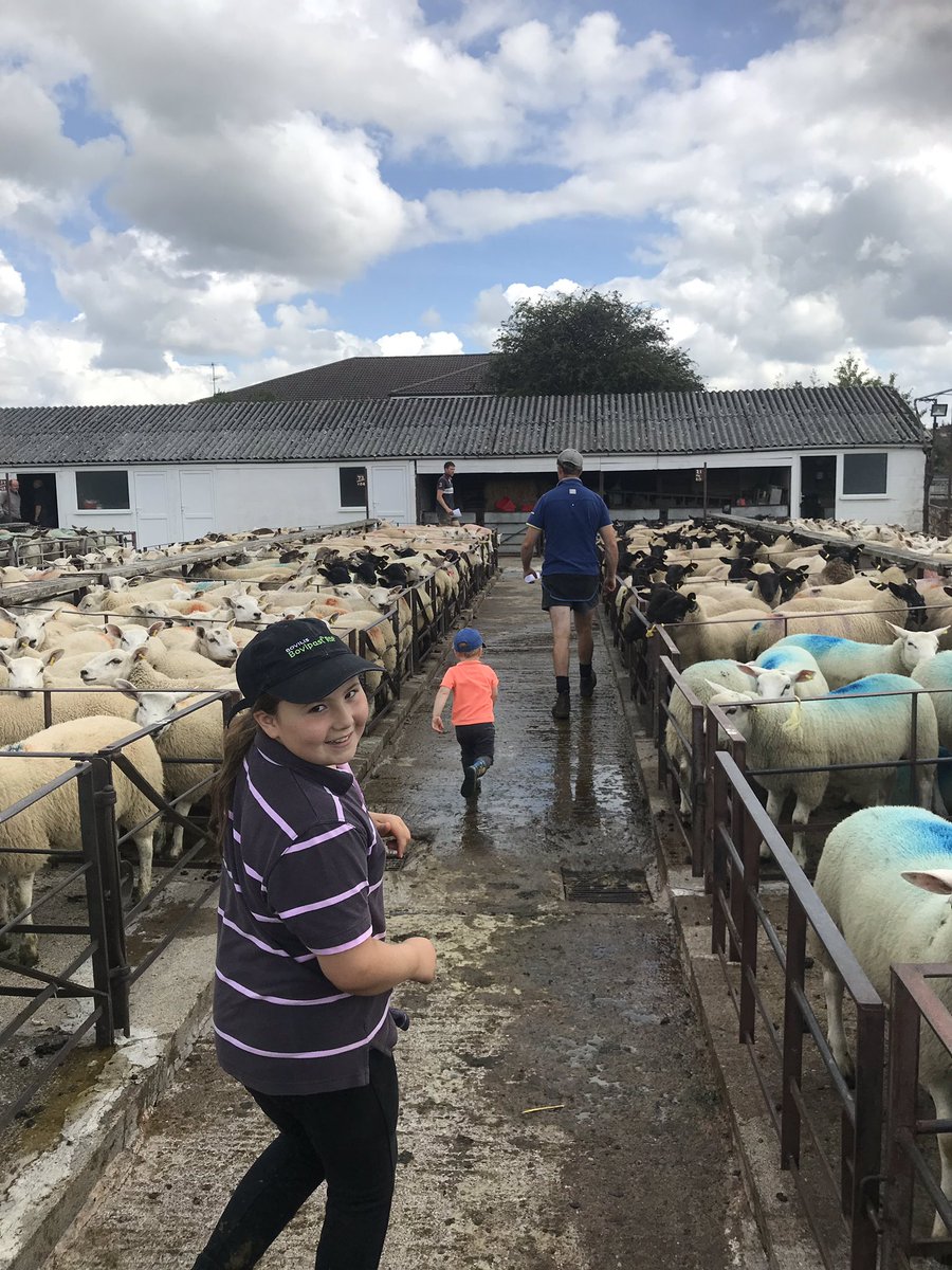 Lis_pow's tweet photo. The next generation on a mission with Daddy @kingtonmarket @McCartneysLLP  #Farm24 #farmlife #marketdays https://t.co/apkXCJ98Ep