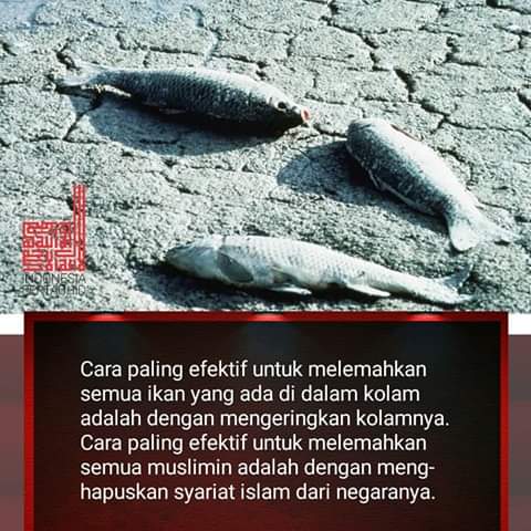 BayPaidi's tweet photo. Cara paling efektif untuk melemahkan semua ikan yang ada didalam kolam adalah dengan mengeringkan kolamnya.Cara paling efektif untuk melemahkan semua muslimin adalah  dengan menghapus syariah islam dari Negerinya.
Cara menerapkan kembali syariah islam yaitu dengan Daulah khilafah https://t.co/Kf5cYirkwm