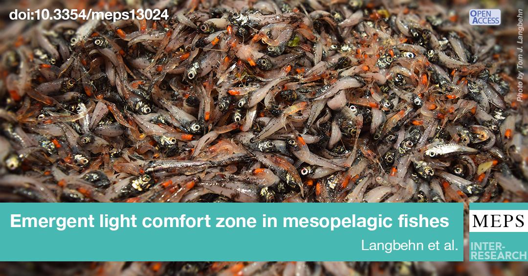 Tracking a light comfort zone emerges as the optimal behaviour in mesopelagic fish, explaining the poleward deepening of the scattering layer observed in the Norwegian Sea. #OceanTwilightZone #fishsci #OA by @TomJasperL et al. from @TEG_UiB”. bit.ly/meps_623_161